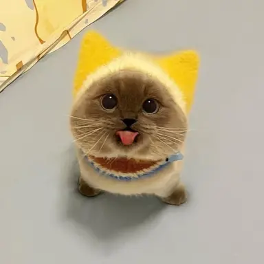 Profile image of 꼴망이