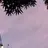 Ive