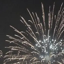 Dhqjoqdn의 김승민