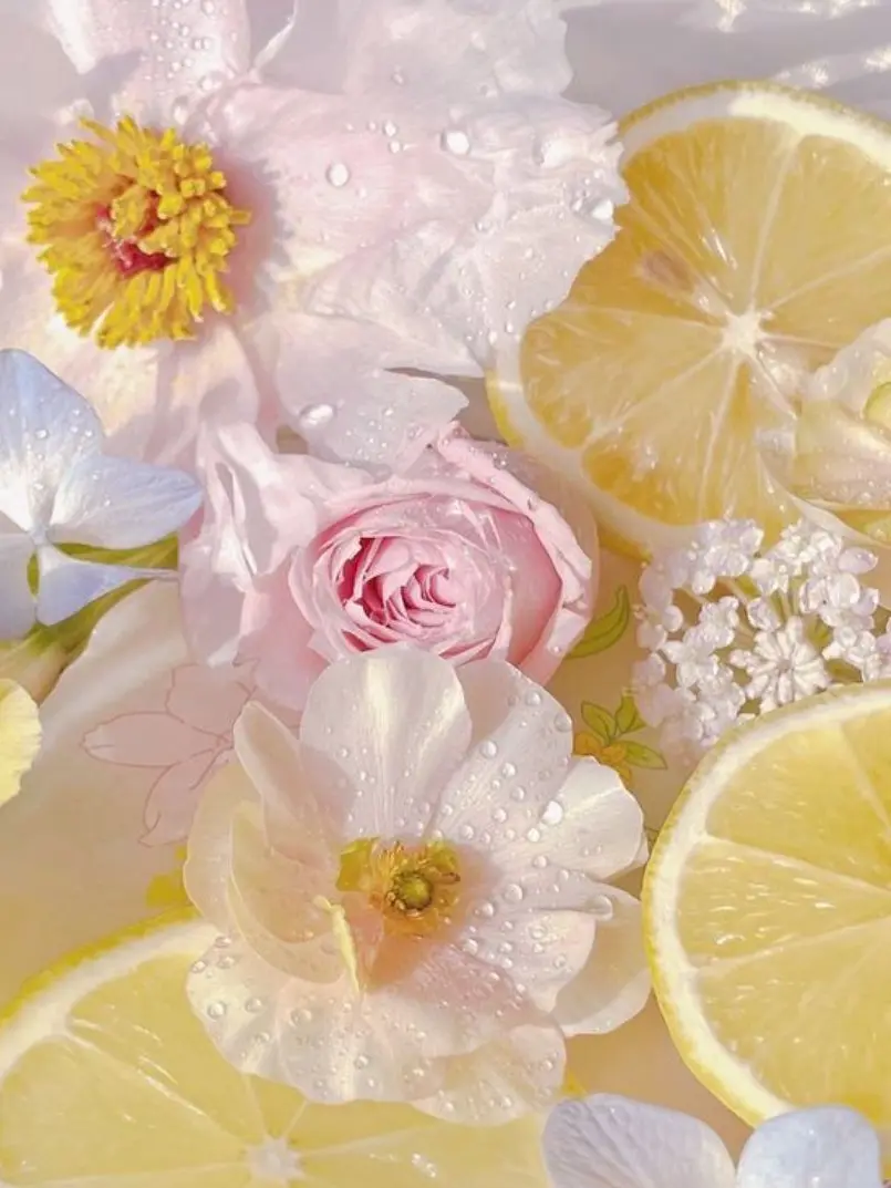 miougi_910의 幼馴染兼婚約者。