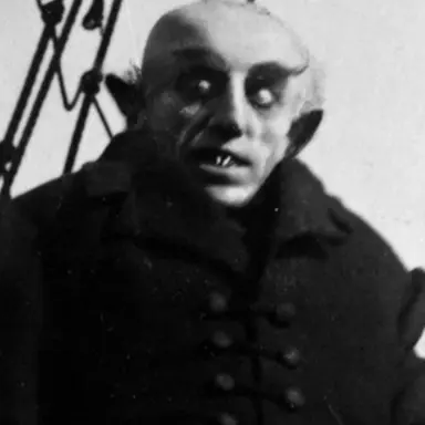 Profile image of 노스펠라투