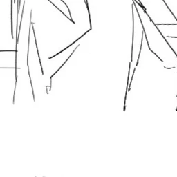 볼레그
