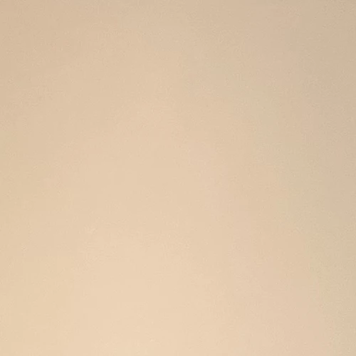 김애리