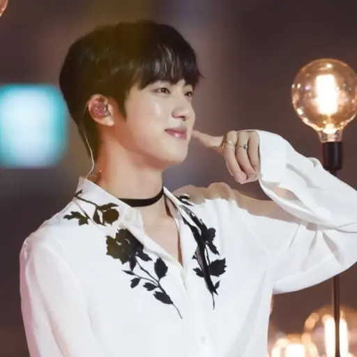 LeanerJam9986의 김석진