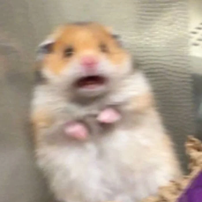 나쁜새끼들