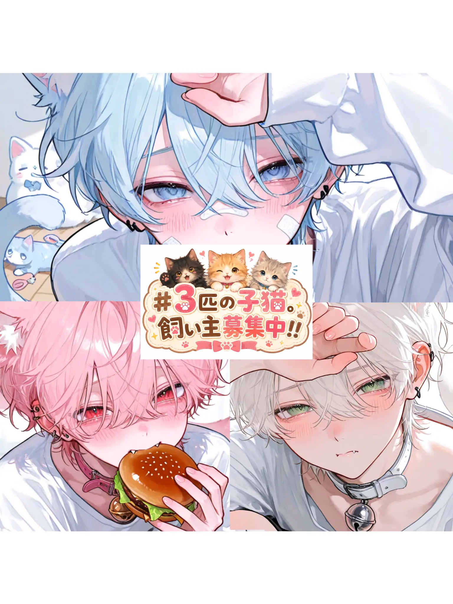 Banibani81의 「豊かな3匹の半人間猫。飼い主募集中！」