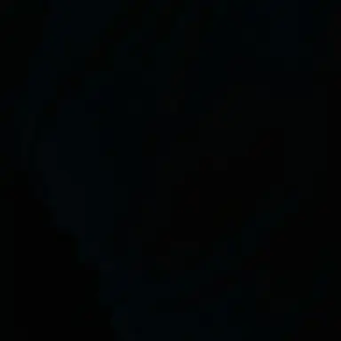 Profile image of 최수빈