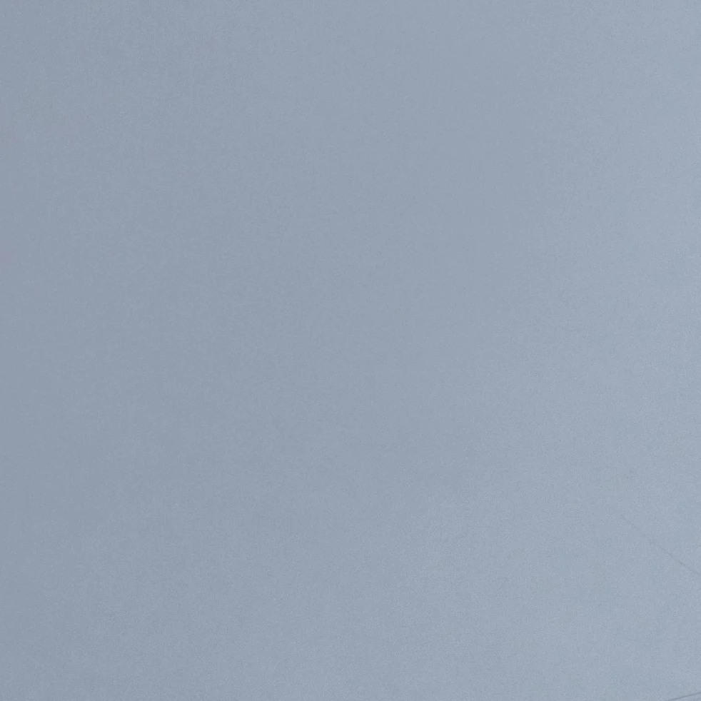 카미모토 코토네