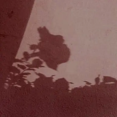 Profile image of 밥풀