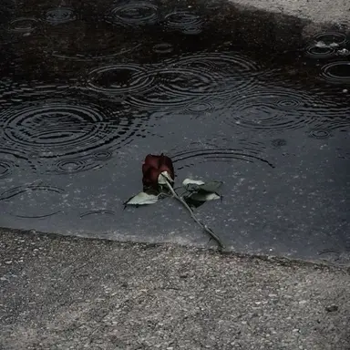 Profile image of 한지성