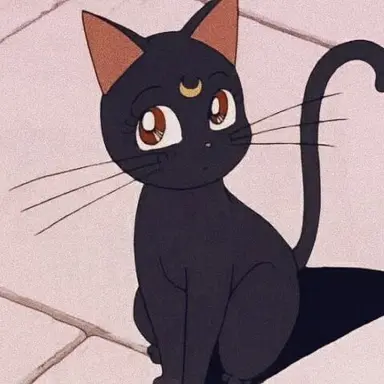 Profile image of 루나