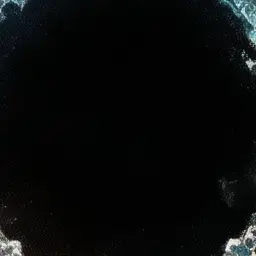 Profile image of 김지원