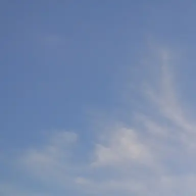 Profile image of 최영재