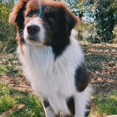 Profile image of Nellie