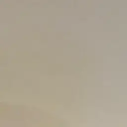 LemonyHoop4788의 위즐리네 가족