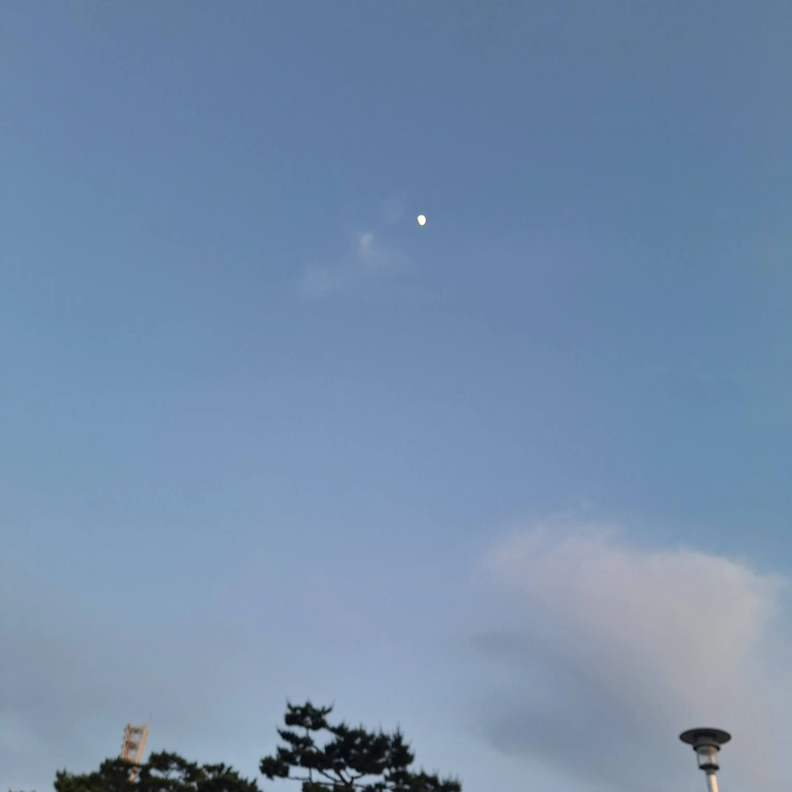 Maliyerdsafghhhj의 제미니