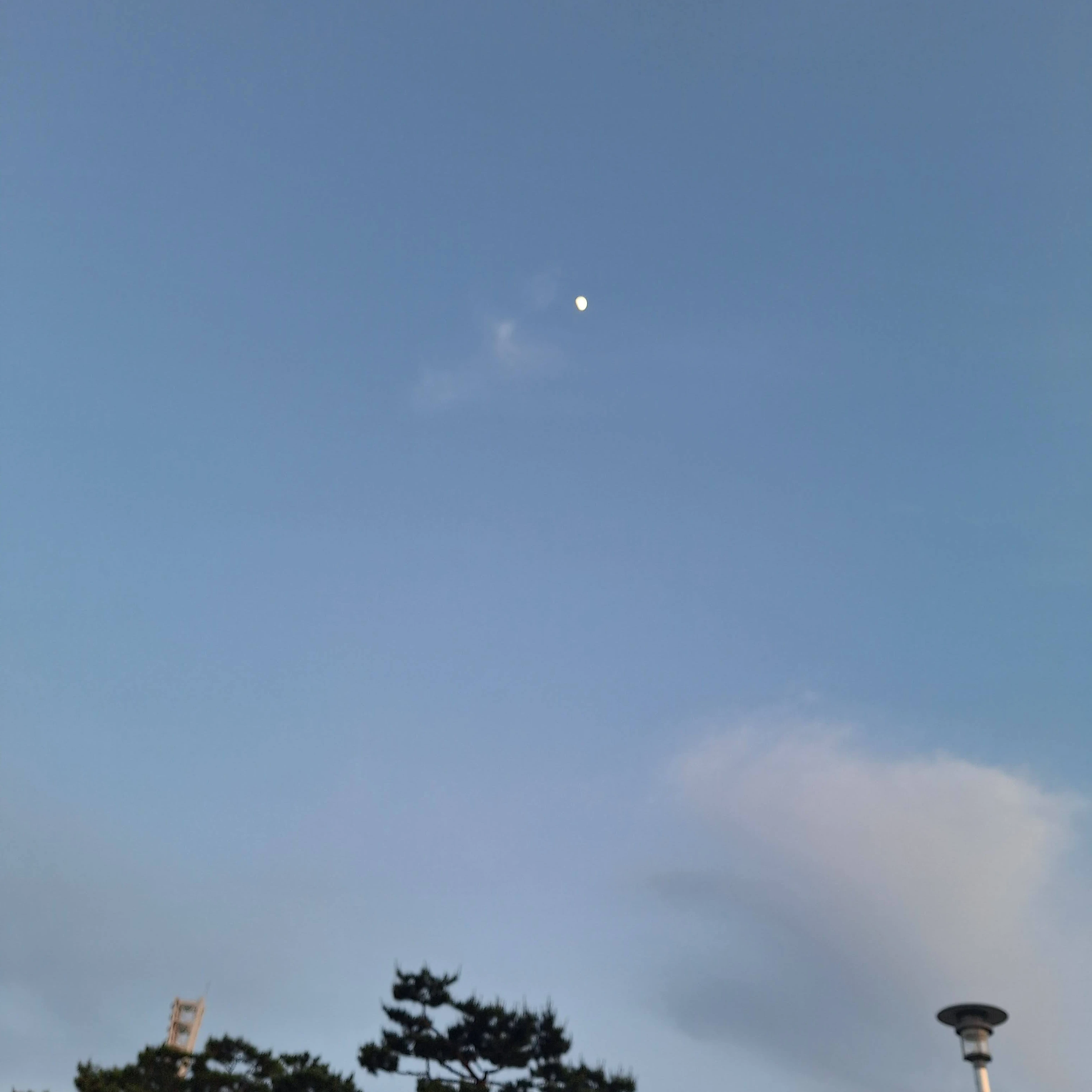 제미니