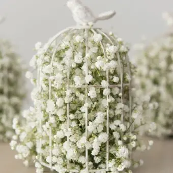 Profile image of 수희