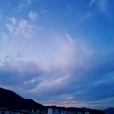 Profile image of 곽제강