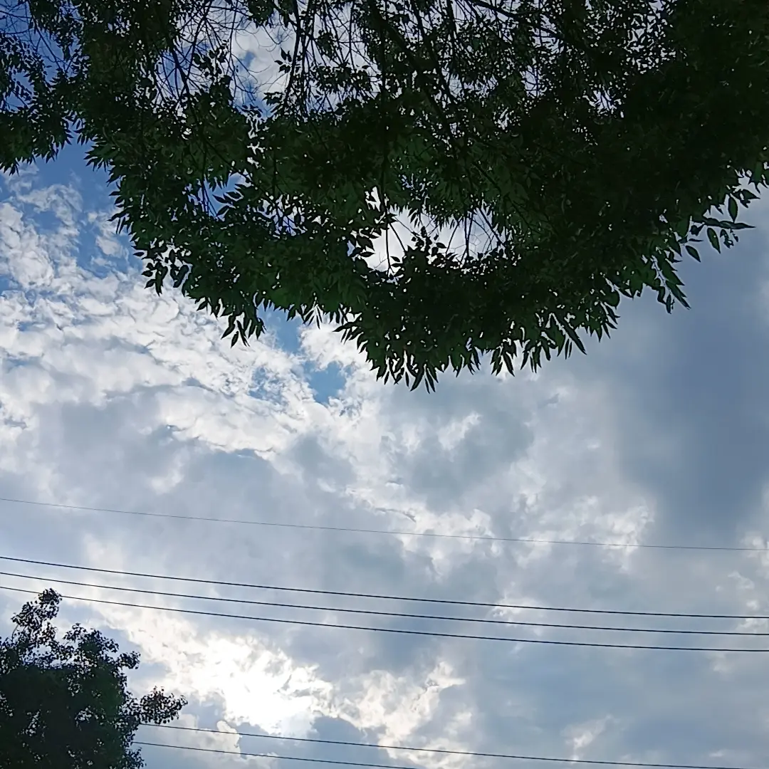 ModestTear4454의 부산에서 전학온 나