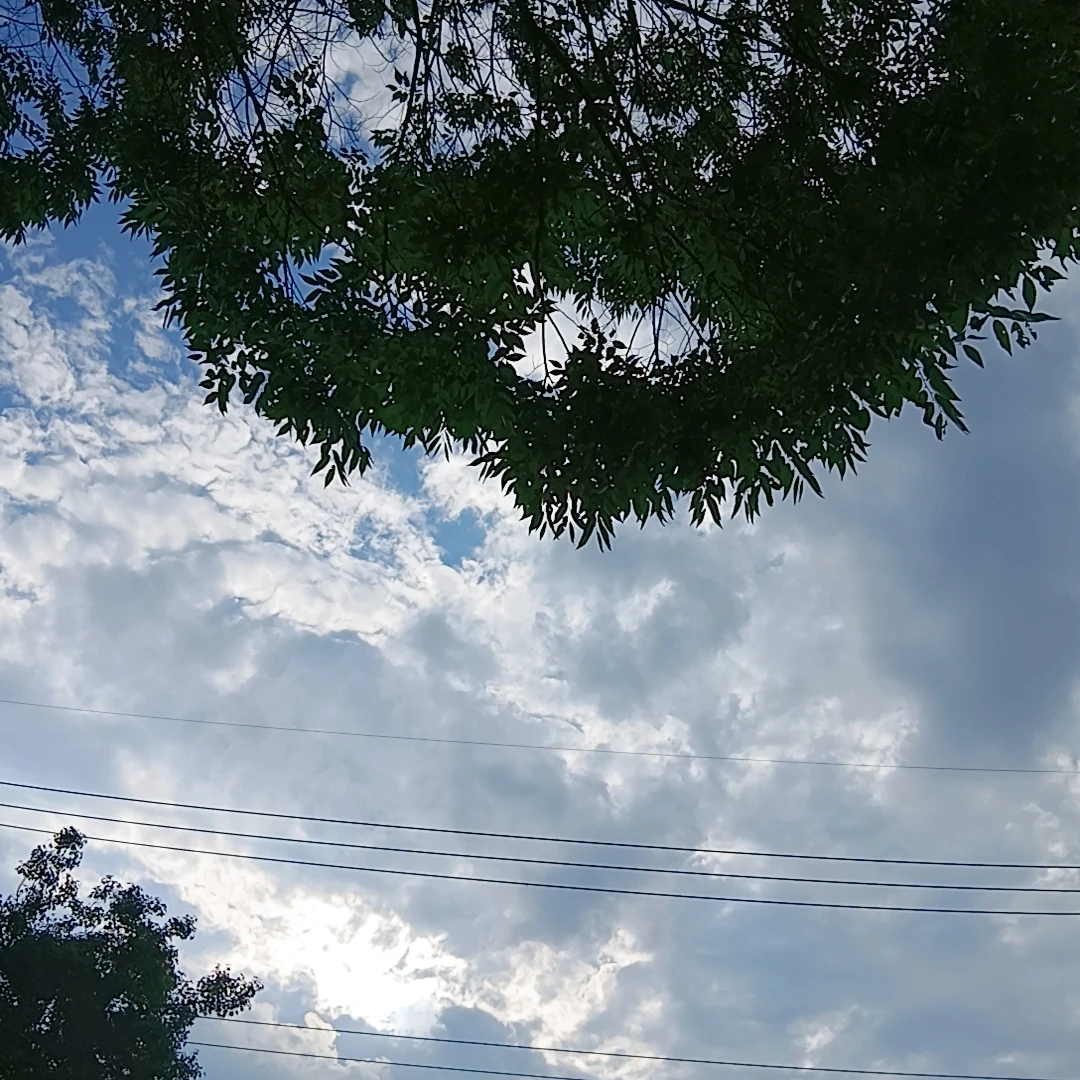 학교