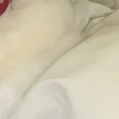 Profile image of 정성찬