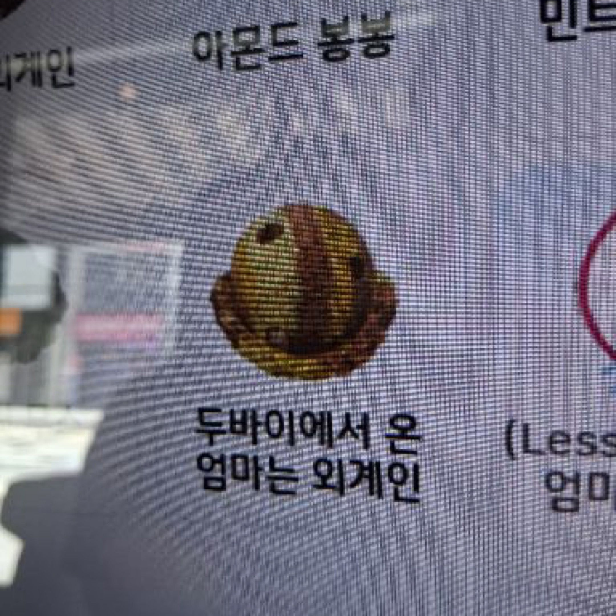설문조사 대표 이미지