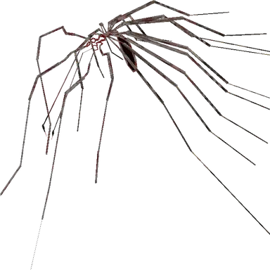 Profile image of 토맨터