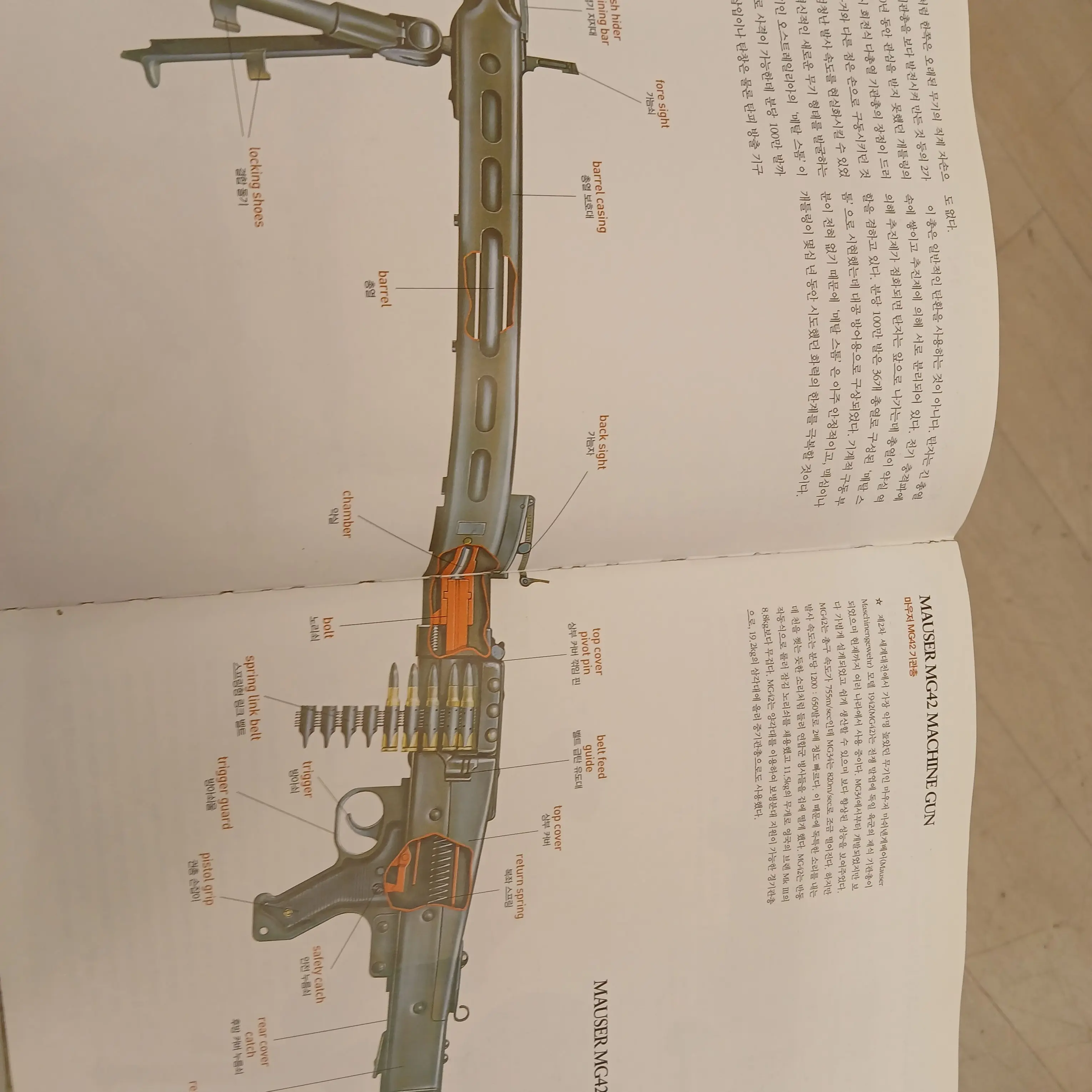 BluntMall4877의 비운의 각성의 피해자