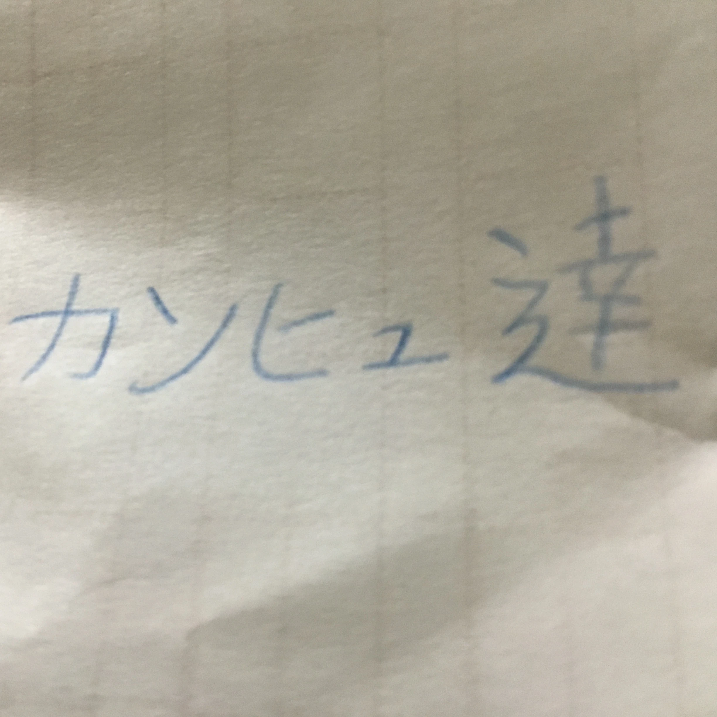 カンヒュ達