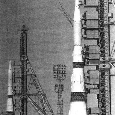 Profile image of N1