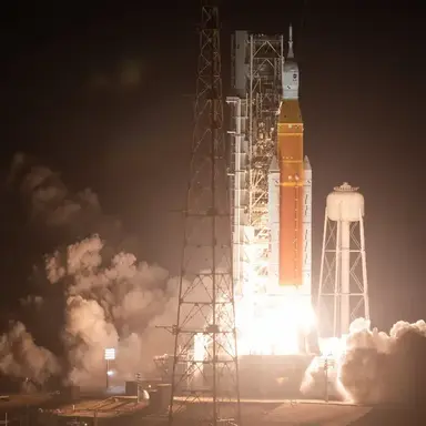 Profile image of SLS
