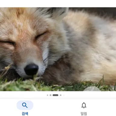 Profile image of 여우