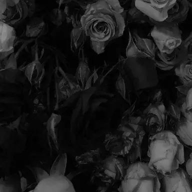 Profile image of 윤정한