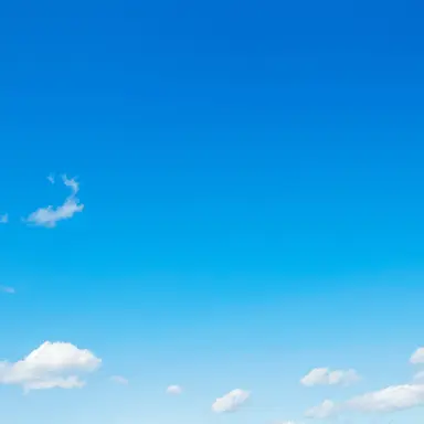 Profile image of 天の声