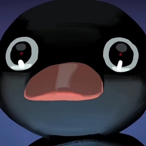 꽥꽥탐험대