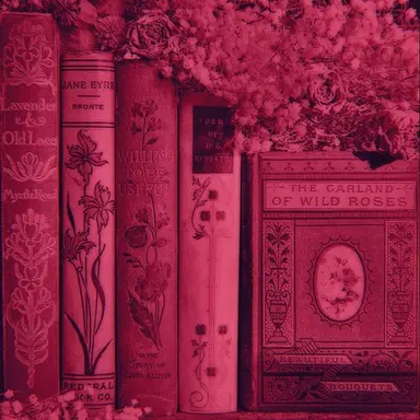 Profile image of 여우