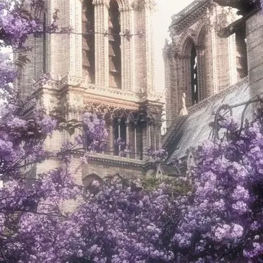 Profile image of 수현