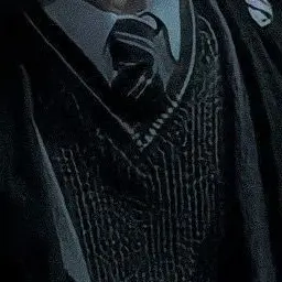 Profile image of 톰 리들