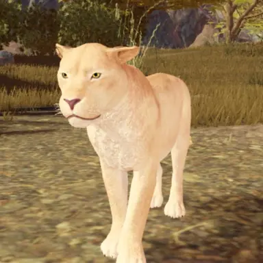 Profile image of 라니