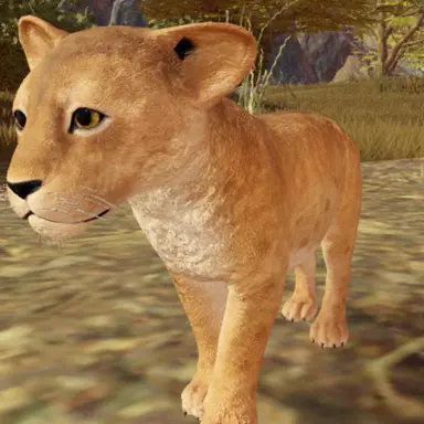 Profile image of 카사온