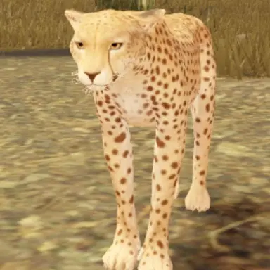 Profile image of 무르카