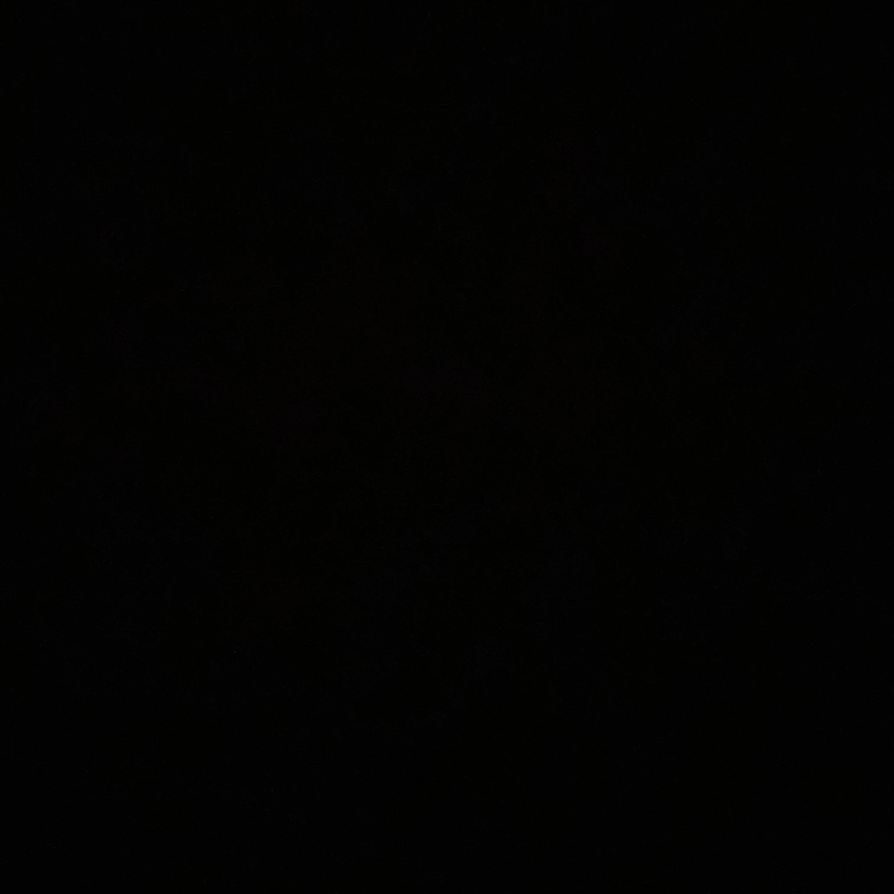 YVW의 짐승