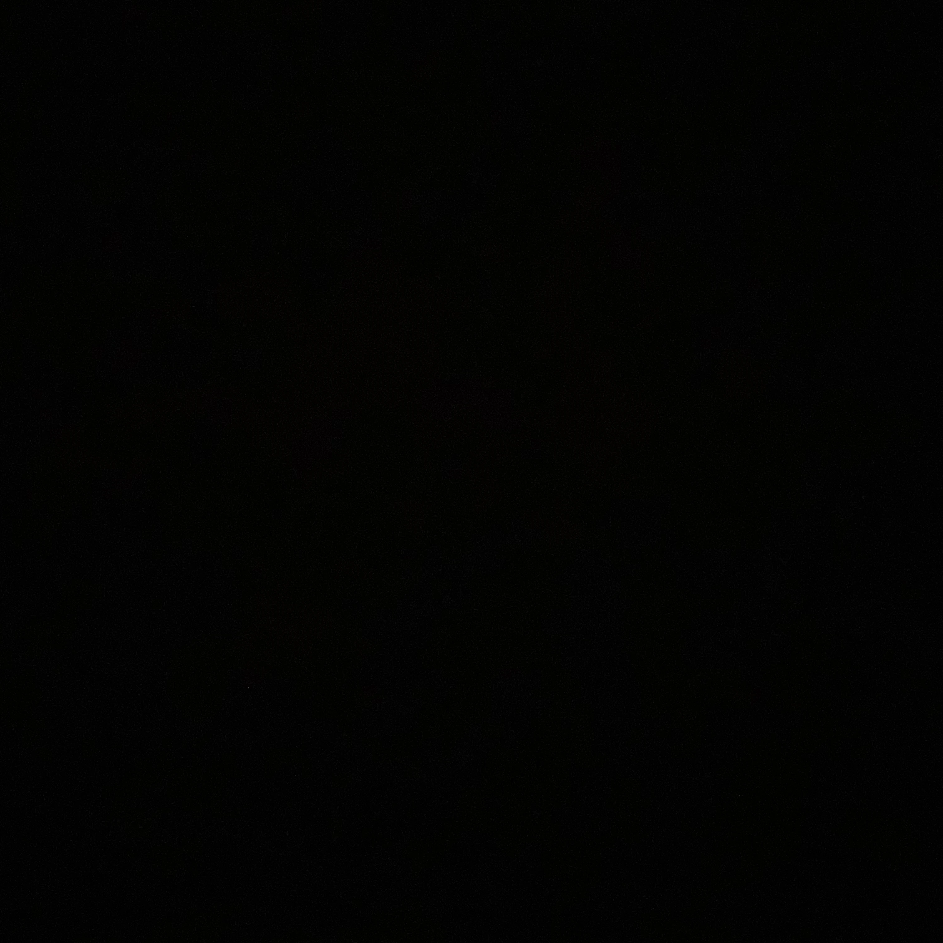 짐승