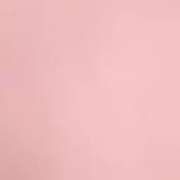 Profile image of 齋藤樹愛羅