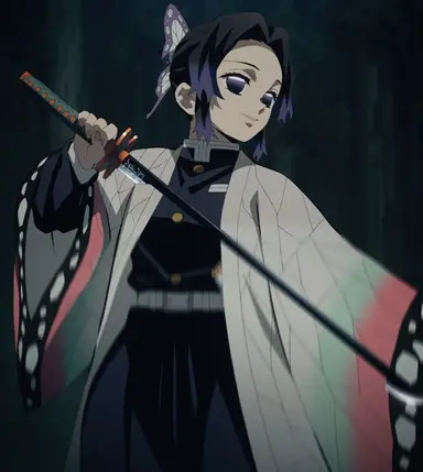 Profile image of 胡蝶しのぶ