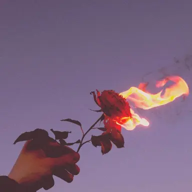 Profile image of 정시우