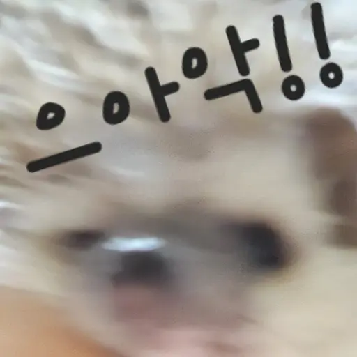 06_25의 이도도