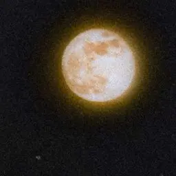Profile image of Leo