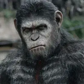 ExoticPark8675의 -Planet of the Apes-